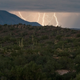 Illustration for article titled Runner Struck In The Head By Lightning, Finishes Third